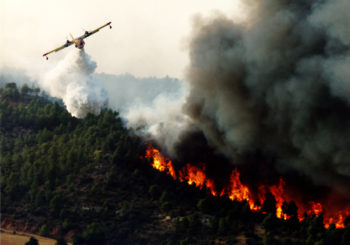 Communiqué de presse prévention des incendies de forêt, vigilance maximale en raison d’un risque incendie très élevé