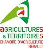 Gel des nuits du 6 et 7 avril – communiqué de la Chambre d’Agriculture de l’Hérault – Questionnaire recensement