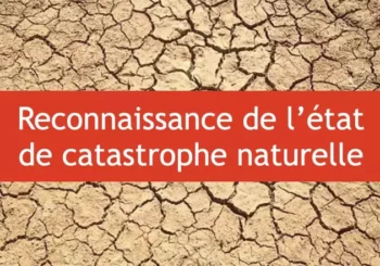 Secheresse année 2023 : Reconnaissance de l’état de catastrophe naturelle