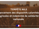 Procédure de calamité agricole suite au vent du 11 au 12 février 2026 – Tempête Nils