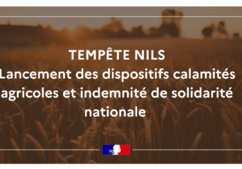 Procédure de calamité agricole suite au vent du 11 au 12 février 2026 – Tempête Nils