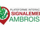 Environnement – vigilance ambroisie