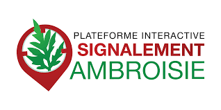 Environnement – vigilance ambroisie