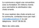Campagne de stérilisation des chats errants